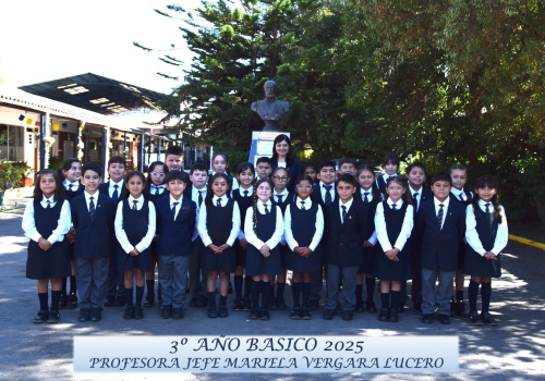 Tercero Básico